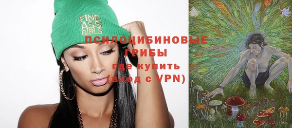 эйфоретик Алзамай