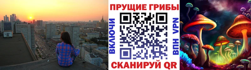 где можно купить   Байкальск  Галлюциногенные грибы мицелий 